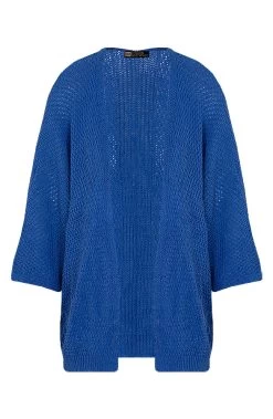 Gehaakt Vest Basic Kobalt -Kleding Promotie Winkel Gehaakt Vest Basic Kobalt 586x900 1