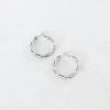 Twisted Hoops Oorbellen Zilver -Kleding Promotie Winkel Twisted Hoops Oorbellen Zilver 1 586x900 1